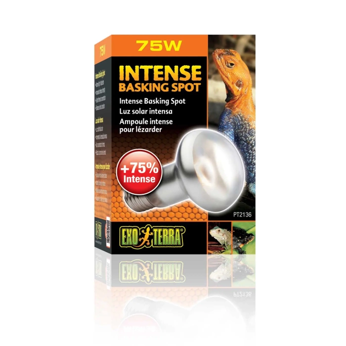 ExoTerra Żarówka Intense Basking Spot 75W 63mm