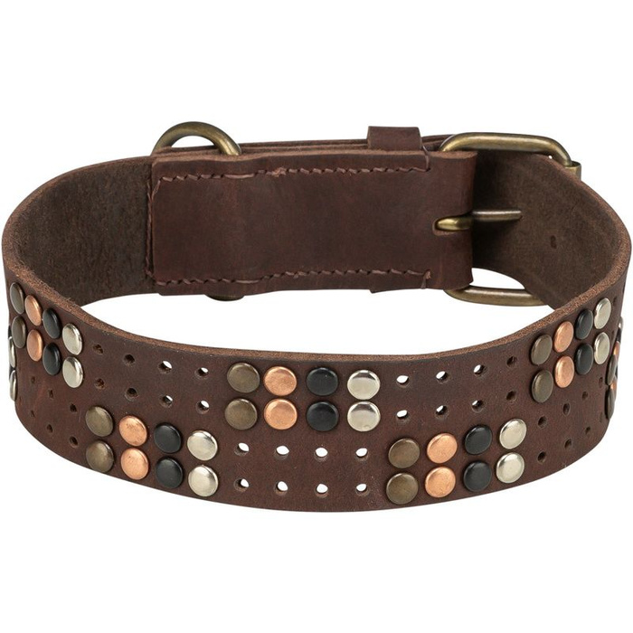Trixie Rustic Rivet obroża dla psa  z grubej skóry ciemnobrązowa M: 38-47cm/40mm