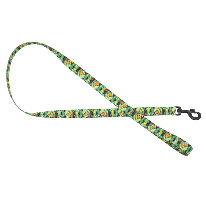 Barry King Smycz dla psa taśma Tropical 20mm/120cm