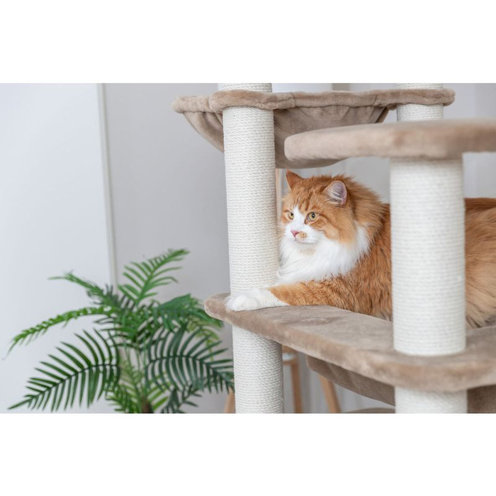 Trixie Brunna XXL drapak dla kota taupe 165cm