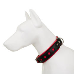 Barry King Obroża Skóra Łoś Strong Koła 40mm/55cm czerwony