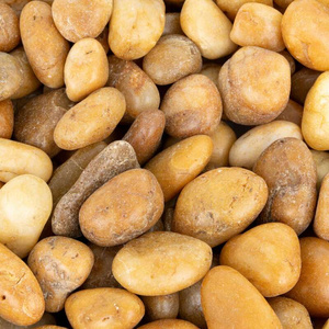 Terra Natura Kamienie polerowane Yellow Pebble 10-20 mm 10kg/opak