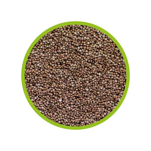 HOBBY Artemia Brine Shrimp Eggs 20ml