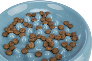 Trixie Miska Slow feed ceramiczna 0,25l/18cm spowalniająca jedzenie