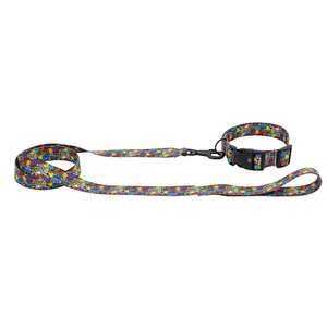 Barry King Obroża taśma dla psa Dream Party 20mm/35-54cm