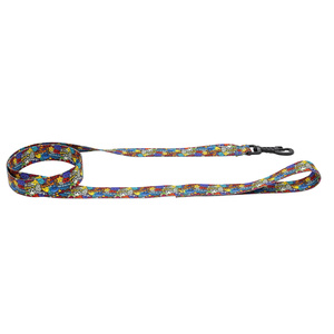 Barry King Smycz dla psa taśma Dream Party 20mm/120cm