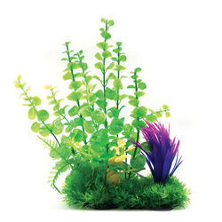 Aqua Natura Roślina do dekoracji akwarium zielona plastikowa 26cm z fioletowym dodatkiem