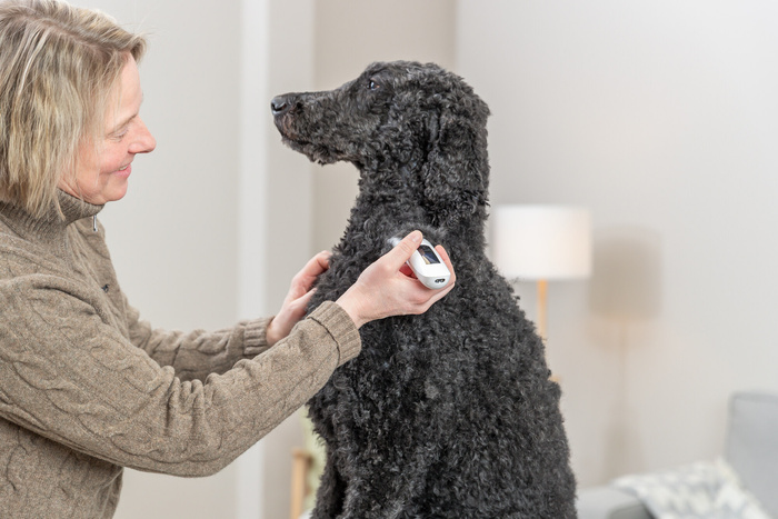 Trixie TR1600 maszynka do strzyżenia dla psa 10W biała bezprzewodowa 2000mAh