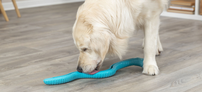 Trixie Snack-Snake wąż na smakołyki dla psa petrol TPR 59cm