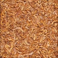 Sera Pond Gammarus Mix 3,8l/550g przysmak dla ryb stawowych