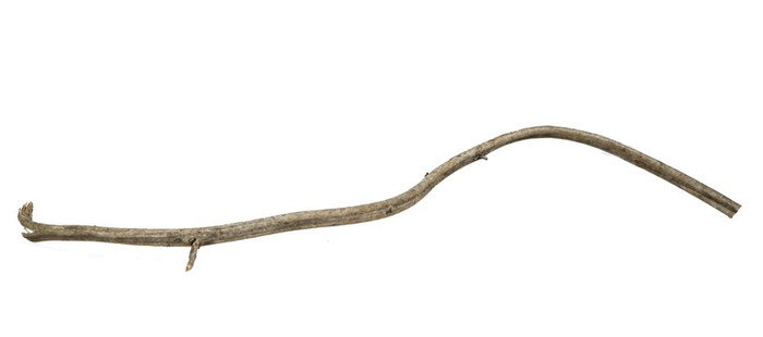 Terra Natura Korzeń Rattanowy 20-40 cm
