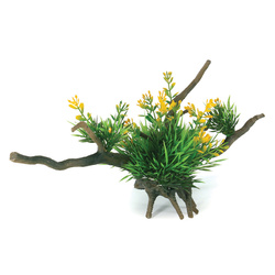 Aqua Natura Roślina do dekoracji akwarium kompozycja na korzeniu plastikowa 12-31cm różne rodzaje roślin