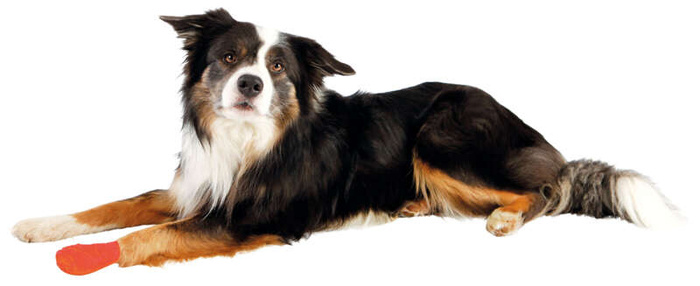 Trixie Bandaż samoprzylepny 5cm/4,5 m 4 sztuki