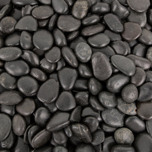Terra Natura Kamienie polerowane Black Pebble II 10-20 do akwarium terrarium 5 kg/opak