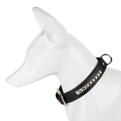 Barry King Obroża dla psa wzór kostki 25mm/56cm czarna