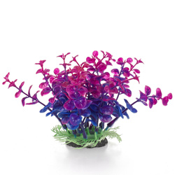 Aqua Natura Roślina do dekoracji akwarium granatowo-fioletowa plastikowa 12cm peperomia