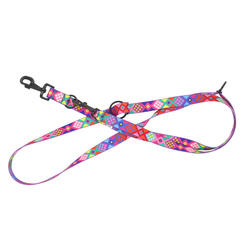 Barry King Smycz regulowana taśma dla psa Peru 20mm/220cm