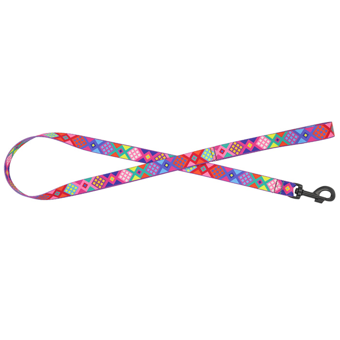 Barry King Smycz dla psa taśma Peru 20mm/120cm