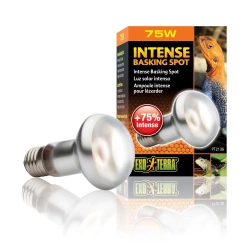 ExoTerra Żarówka Intense Basking Spot 75W 63mm