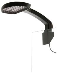 ExoTerra Lampka LED Day & Night M 3W