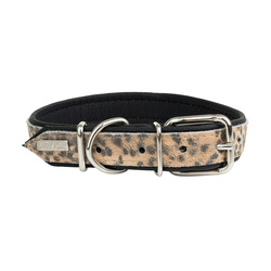 Barry King Obroża dla psa Cheetah 30mm/65cm