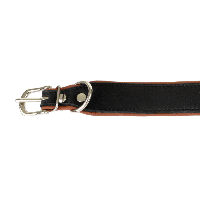 Barry King Obroża Skóra Łoś Strong 40mm/45cm koniak