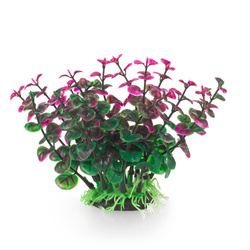 Aqua Natura Roślina do dekoracji akwarium zielono-fioletowa plastikowa 12cm peperomia