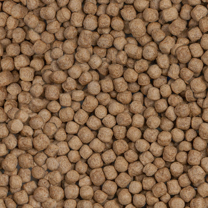 Sera Koi Royal Large 10 l granulat pokarm postawowy dla Koi