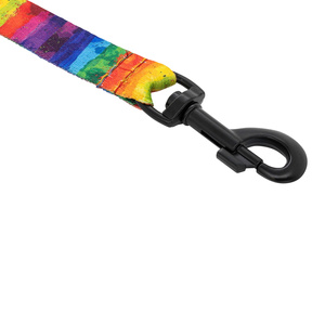 Barry King Smycz dla psa taśma Tęcza 20mm/120cm