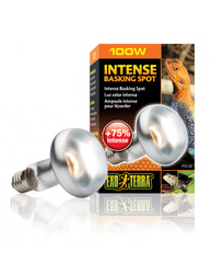 ExoTerra Żarówka Intense Basking Spot 100W 80mm