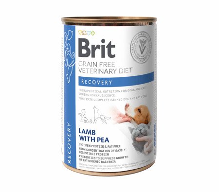 Brit Dog/Cat Veterinary Diet Recovery 400g