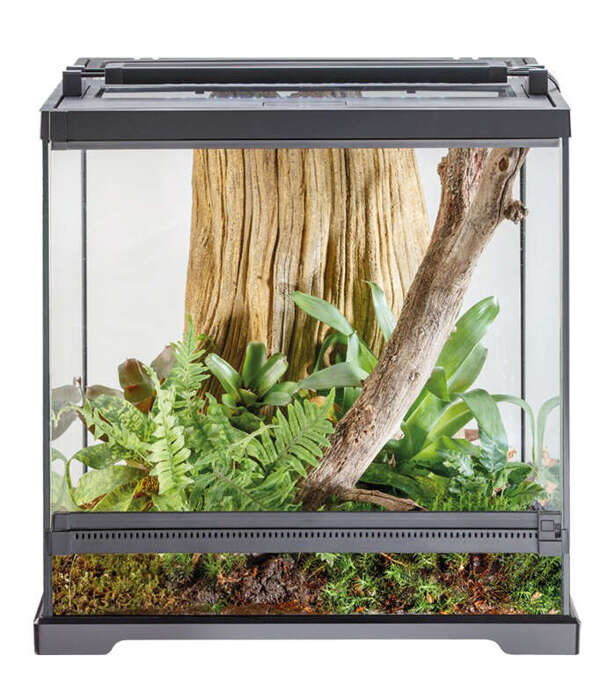 ExoTerra Dart Frog Terrarium dla żab S 45 x 45 x 45 cm