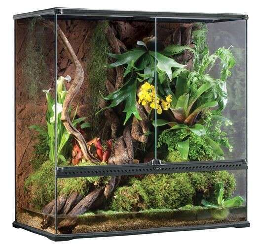 ExoTerra Paludarium szklane LARGE 90x45x90cm