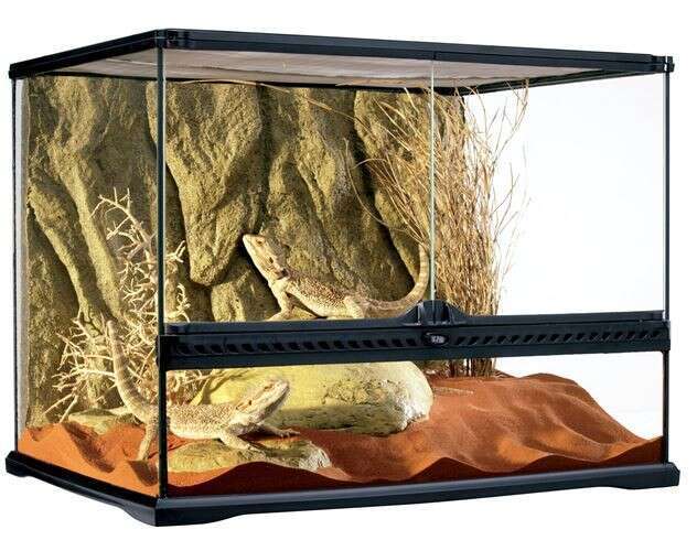 ExoTerra Terrarium szklane MEDIUM 60x45x45cm