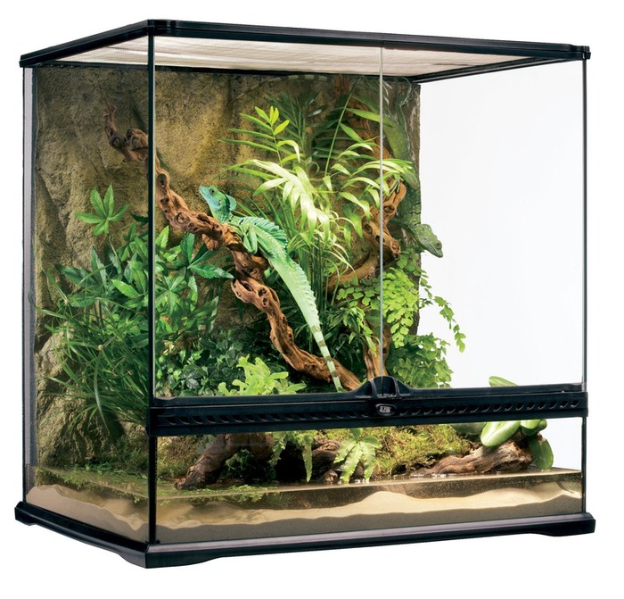 ExoTerra Terrarium szklane MEDIUM 60x45x60cm