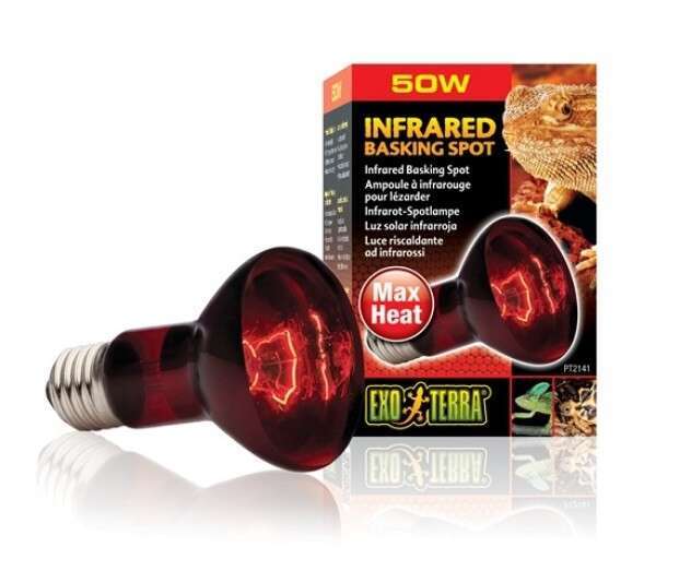 ExoTerra Żarówka Infrared Basking Spot R20/50W