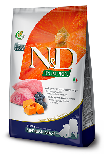 Farmina N&D Pumpkin Grain Free Dog Puppy Medium & Maxi jagnięcina i jagoda 2,5kg