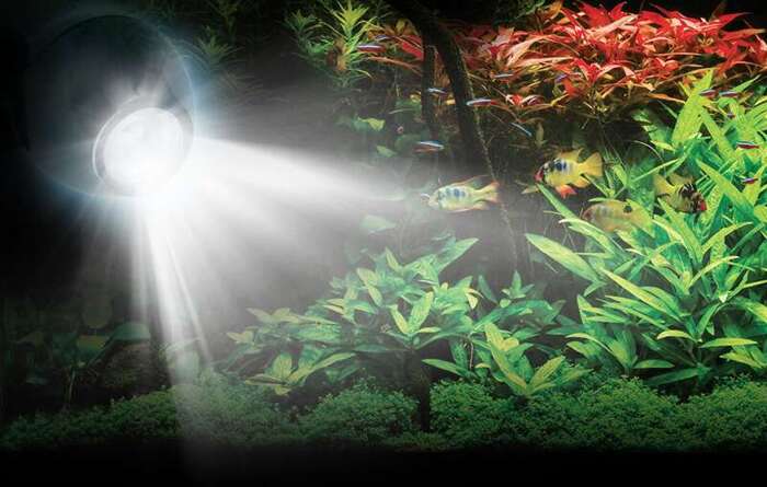 Fluval oświetlenie Prism LED Spot Light 6,5W RGB