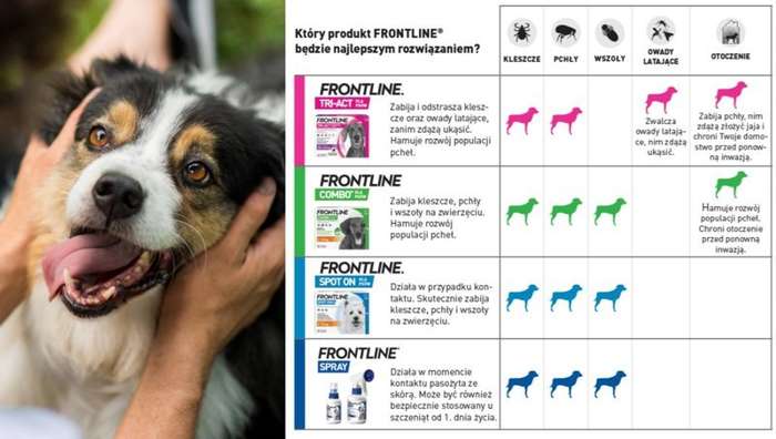 Frontline Tri-Act L krople dla dużych psów 3szt.