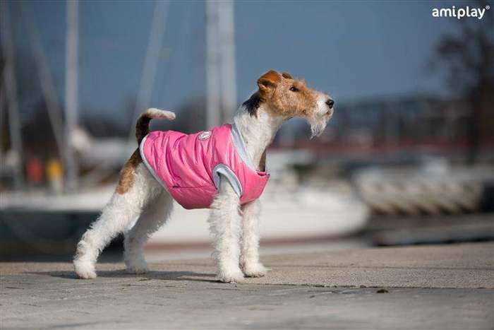 Kurtka Puchowa Bronx 29 cm Yorkshire Terrier różowa