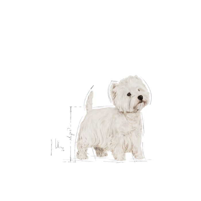 Royal Canin West Highland White Terrier Adult 3kg