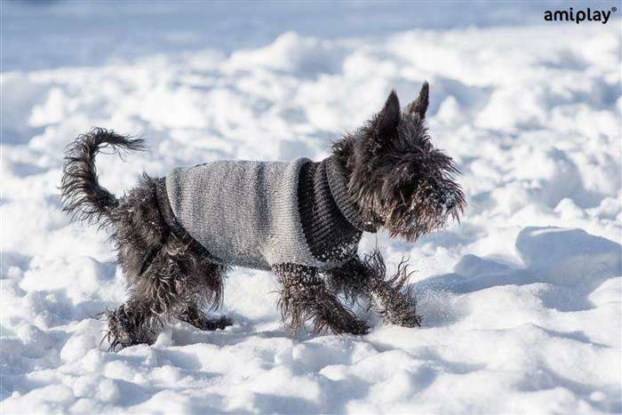 Sweterek dla psa Oslo 23 cm czarny