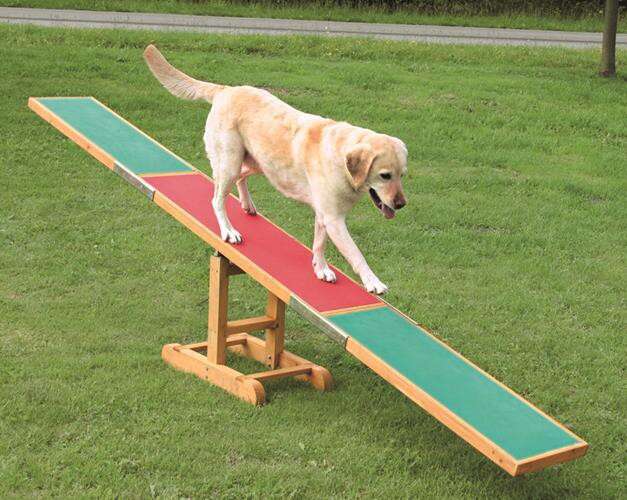 Trixie Fun Agility huśtawka zręcznościowa dla psa 300x54x34cm