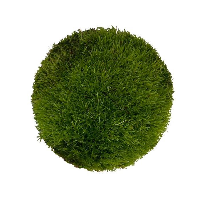 WIO Cushion Moss mech dekoracyjny ciemna zieleń 0,095kg