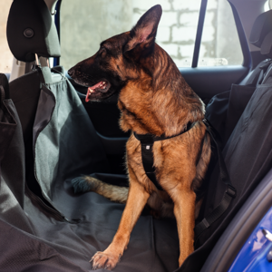 Dingo szelki bezpieczeństwa dla psa do samochodu M