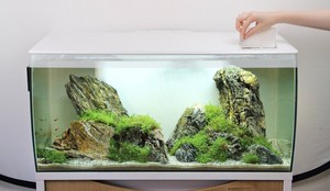 Fluval zestaw Flex 123L biały