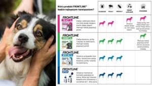 Frontline Combo S krople dla małych psów 3szt.