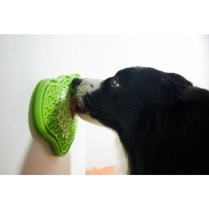 Pet Dream House Paw Lick Pad Green Easy mata do lizania