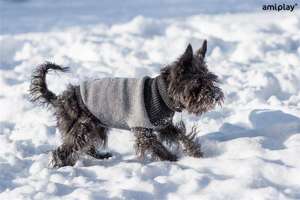 Sweterek dla psa Oslo 19 cm niebieski