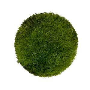 WIO Cushion Moss mech dekoracyjny ciemna zieleń 0,095kg